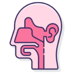 گوش، حلق و بینی